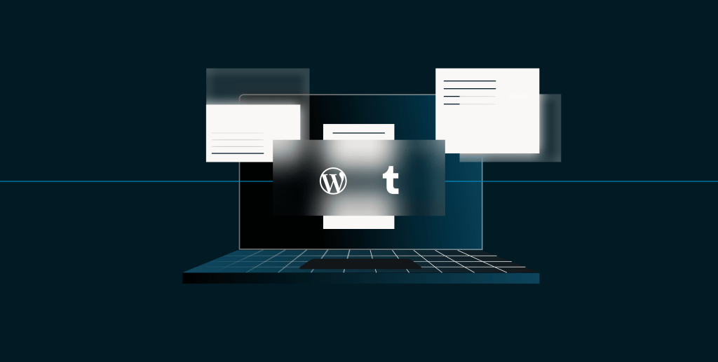 Transparency Report Update: January–June 2024